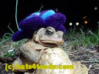 /home//u458753944/public_html/sourcegallery//////////////////////Roxborough Toad Detour/2013-2019/2017/P4030690.JPG